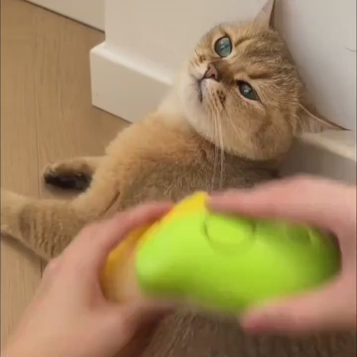 🎁 Cepillo vapor para mascota